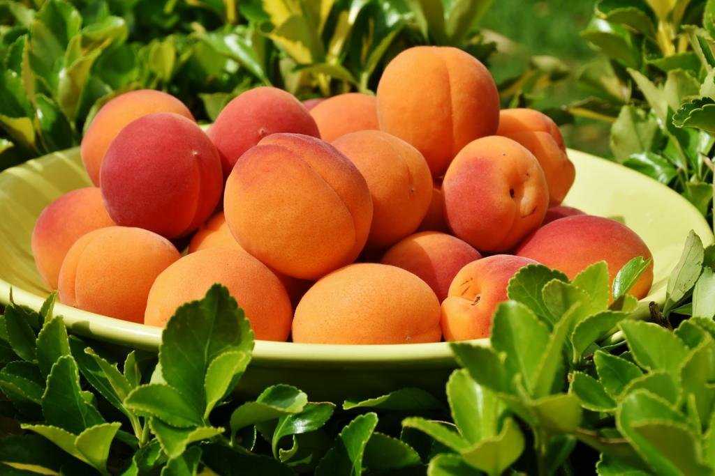Рецепт персикового ликера