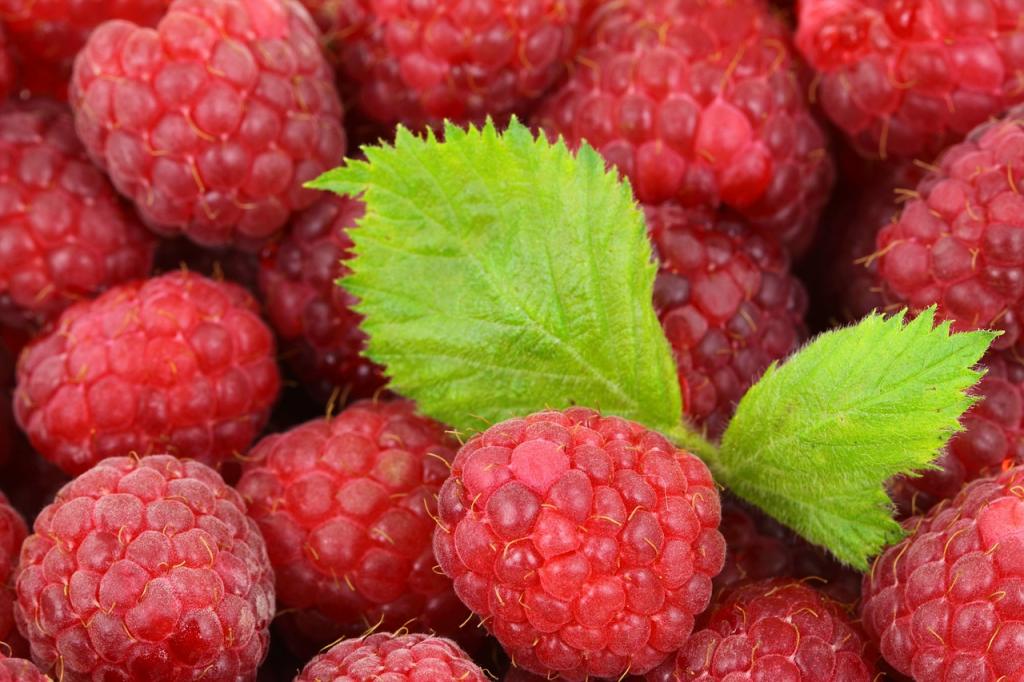 Recipe for raspberry-cranberry liqueur